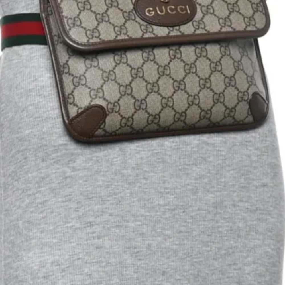 Beige and Brown Belt Bag
